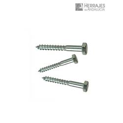 Tornillo tirafondo cabeza exagonal din-571 10x80