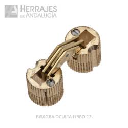 Bisagra tipo libro de 12mm acabada latÓn pulido