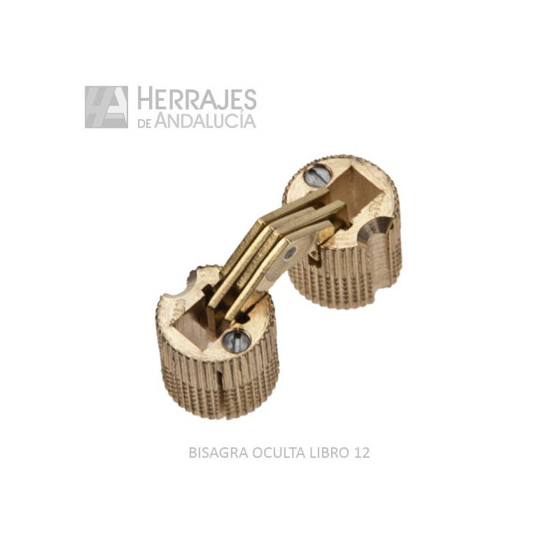Bisagra Tipo Libro 12 mm Latón Pulido | Herrajes de Andalucía