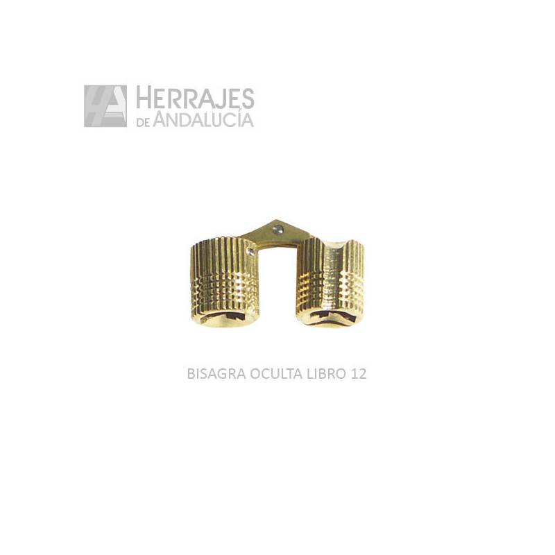 Bisagra Tipo Libro 12 mm Latón Pulido | Herrajes de Andalucía