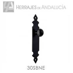 Placa pomo negro/a sin bocallave nº30