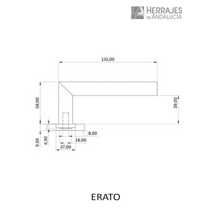 Manivela Erato Inox AISI 304 Inther | Herrajes de Andalucía