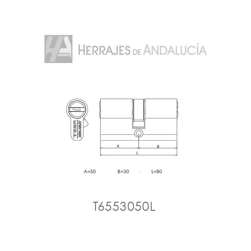 Cilindro seguridad Tesa T60 50x30mm latón-Herrajes de Andalucía
