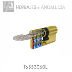 Cilindro de seguridad tesa latÓn pulido t60 30x60