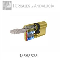 Cilindro de seguridad tesa latÓn pulido t60 35x35