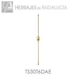 CERRADURA AE TS30/T6/DAE