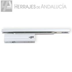 CIERRAPUERTAS OCULTO PIÑON...