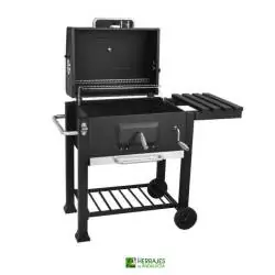 BARBACOA MODELO CARRO COLOR NEGRO