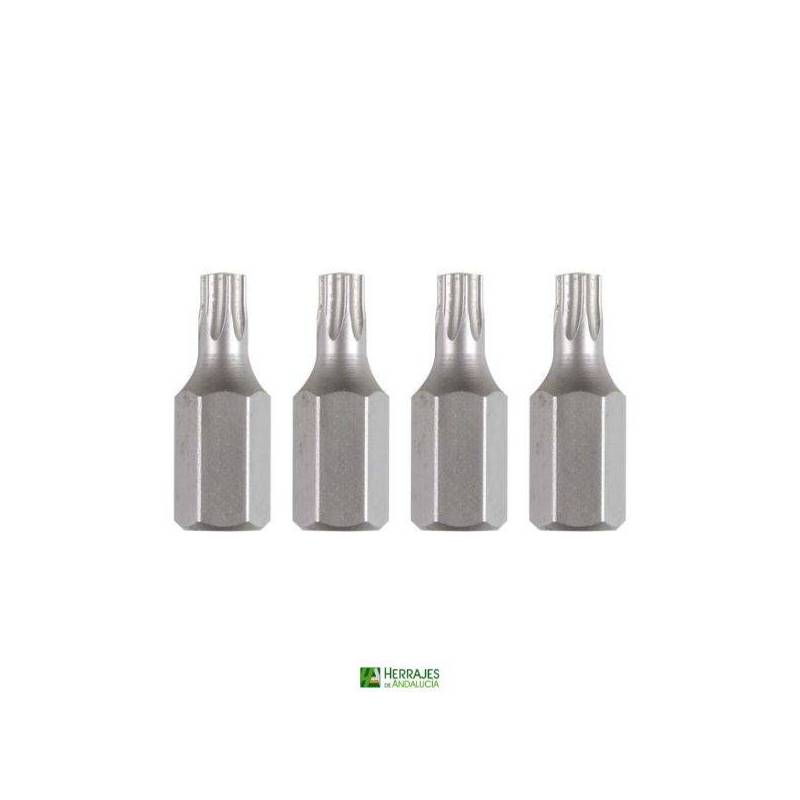 Clavo Torx 7015 T30-Herrajes de Andalucía