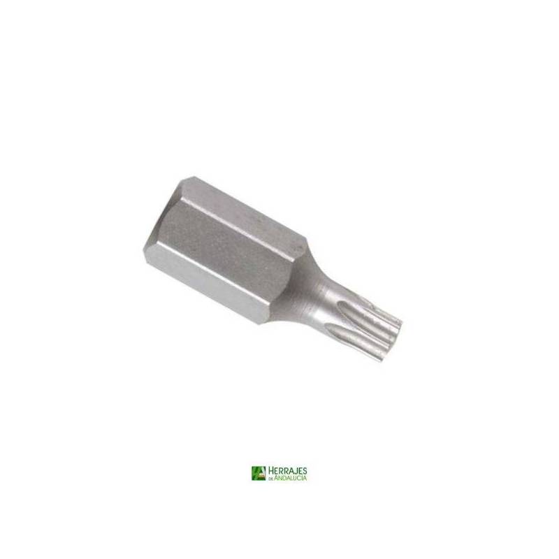Clavo Torx 7015 T30-Herrajes de Andalucía