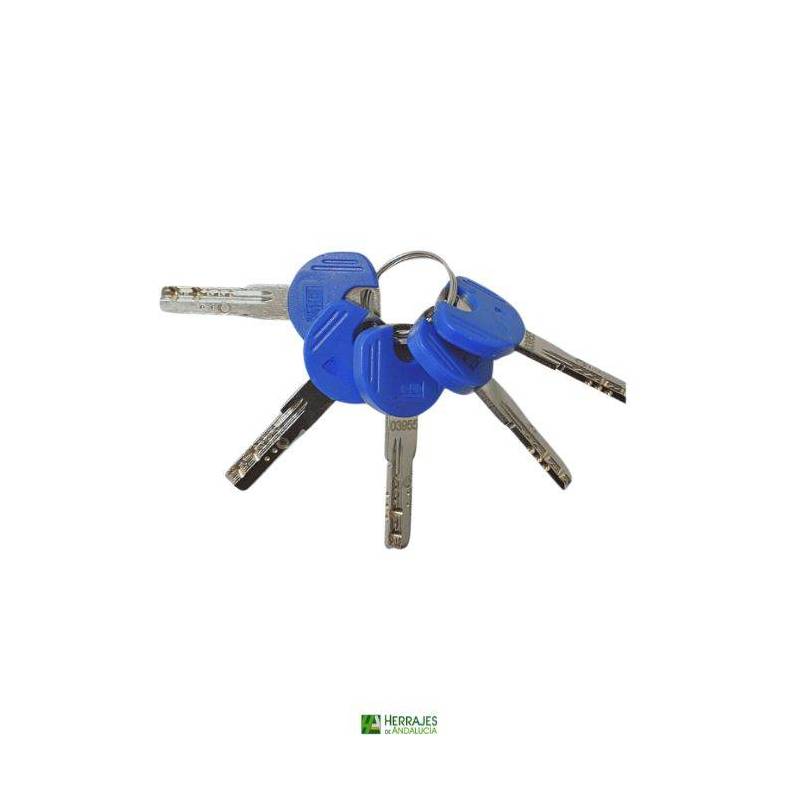 Cilindro IT18 alta seguridad 35x35mm níquel-Herrajes de Andalucía