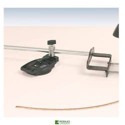 GUÍA CORTE CIRCULAR...